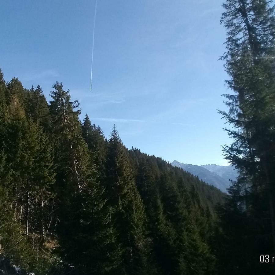 Apartmán Da Nicola E Laura Santo Stefano Di Cadore Exteriér fotografie