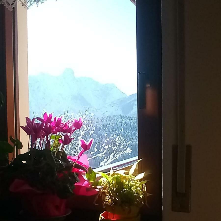 Apartmán Da Nicola E Laura Santo Stefano Di Cadore Exteriér fotografie